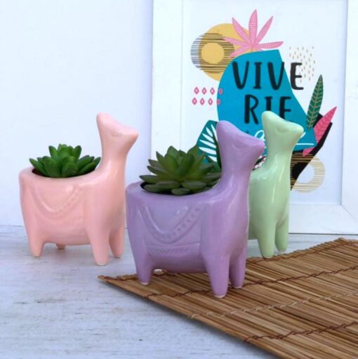 Maceta de ceramica llama rosa