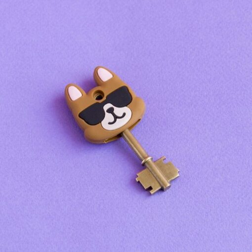 Identificador de llave perrito