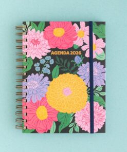 Alternative view of AGENDA 2026 Modelo Petro